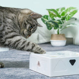 smart electric design feather toy magic box for cats